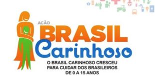 Brasil Carinhoso Programa Primeira Infância