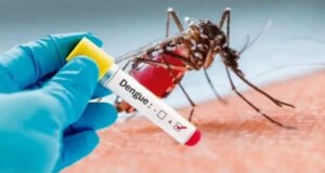 Vacina da Dengue Em Fase Final de Estudos