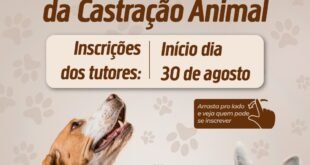 Programa de Castração Gratuita de Animais em Vitória/Créditos: reprodução